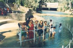 foto-n.24