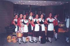 foto-n.15