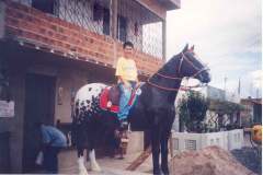 foto-n.14