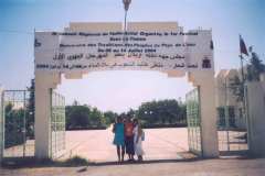 foto-n.12
